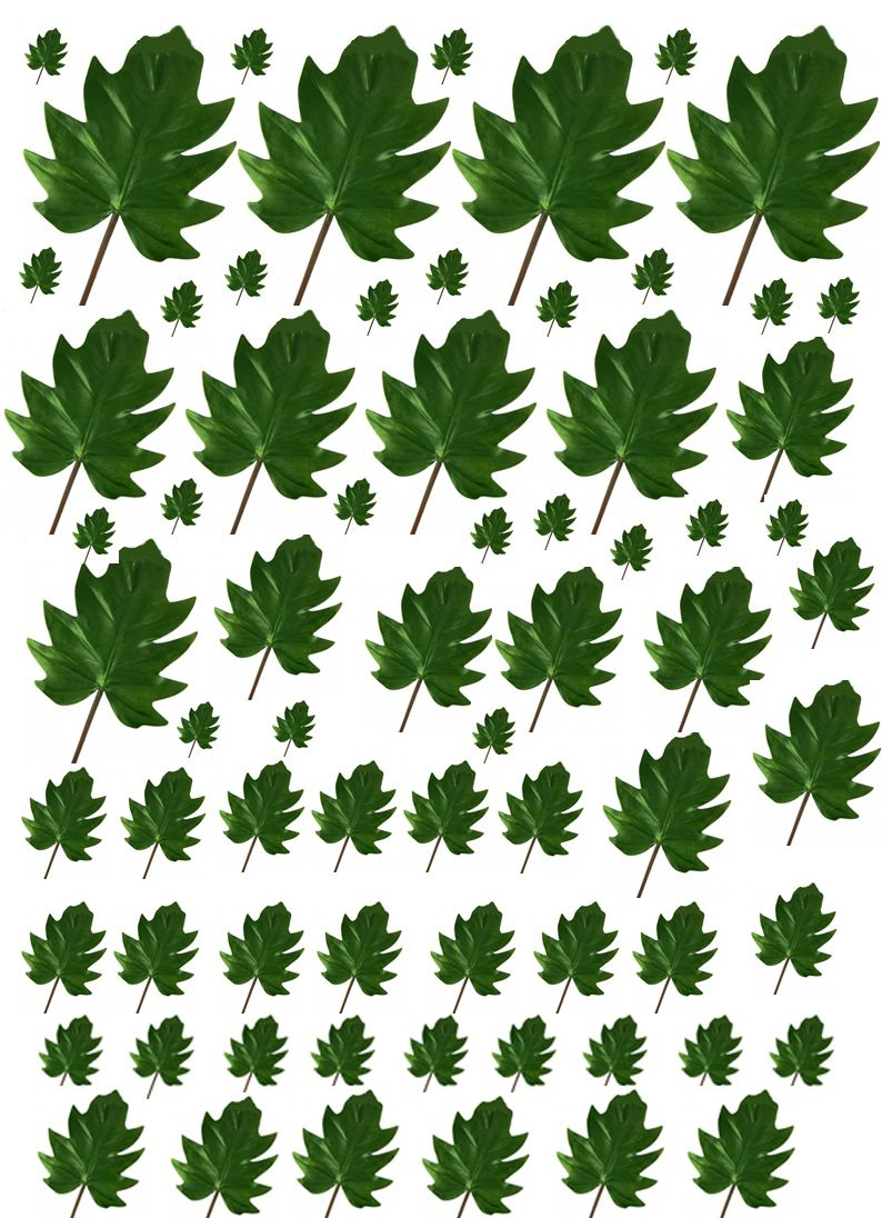 Free Dollhouse Printables 1 12 Scale Fern Leaves