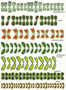 Muy Utiles Para El Jardin Que Estoy Construyendo Gracias Por Compartir