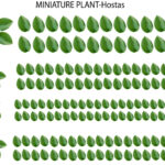 Plants Dollhouse Miniature Madness And Tutorials