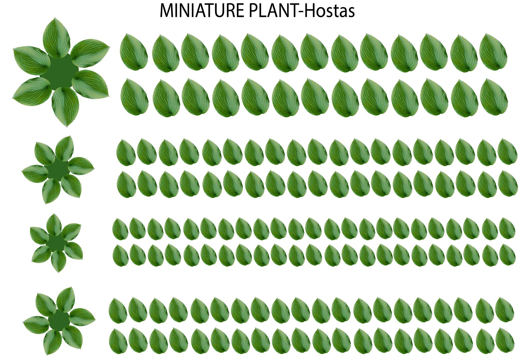 Plants Dollhouse Miniature Madness And Tutorials